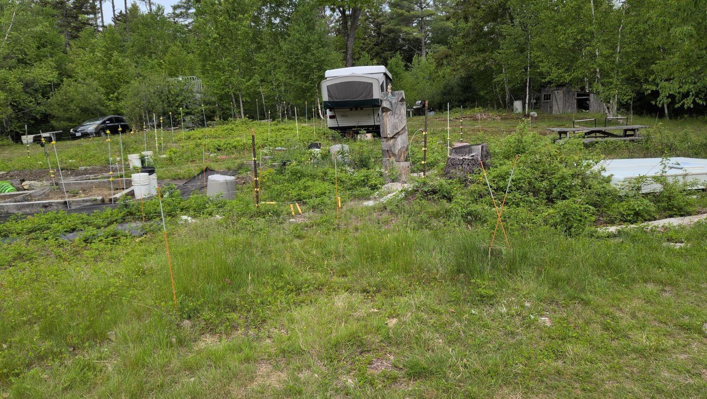 camp clearing with rv and garden at Bartertowne, Canaan New Hampshire