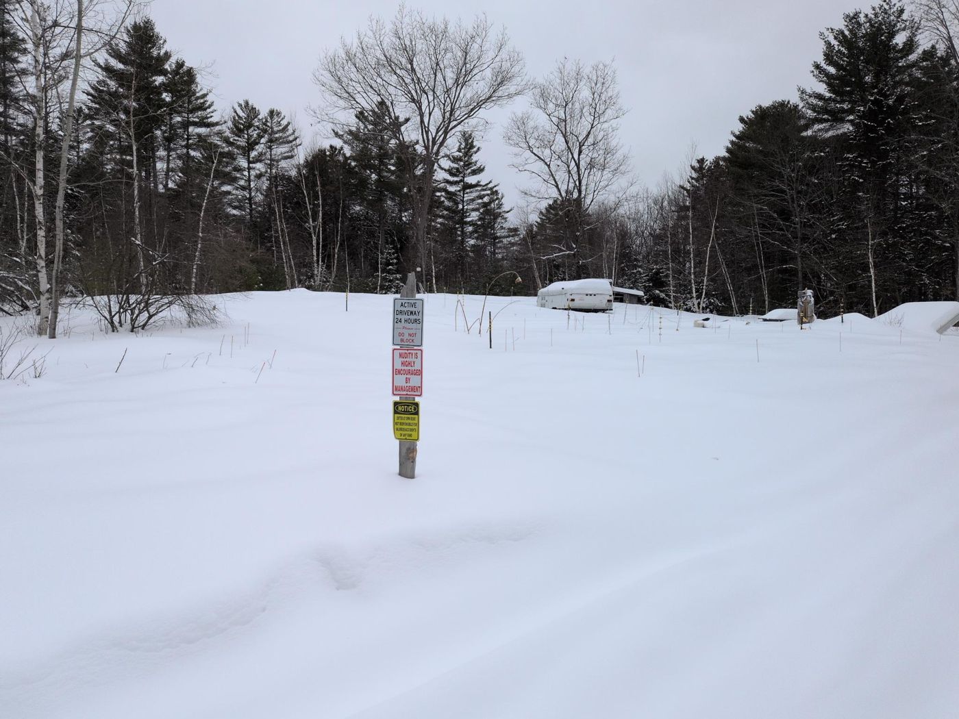 open snowfield with trail marker post at Bartertowne, Canaan New Hampshire