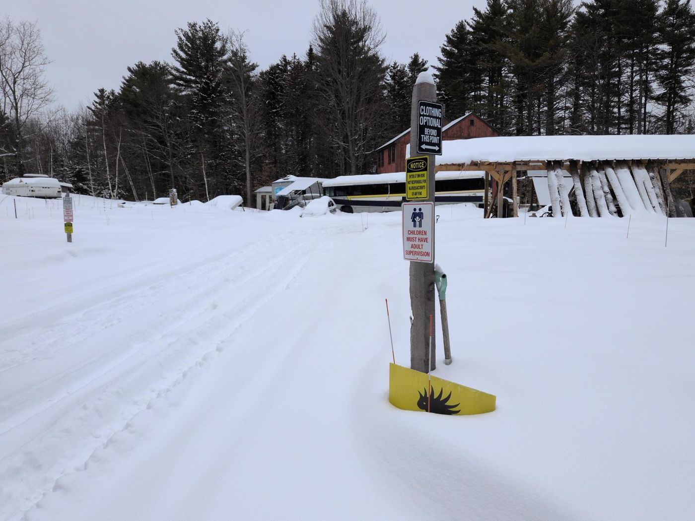 plowed forest path through snowy woods at Bartertowne, Canaan New Hampshire