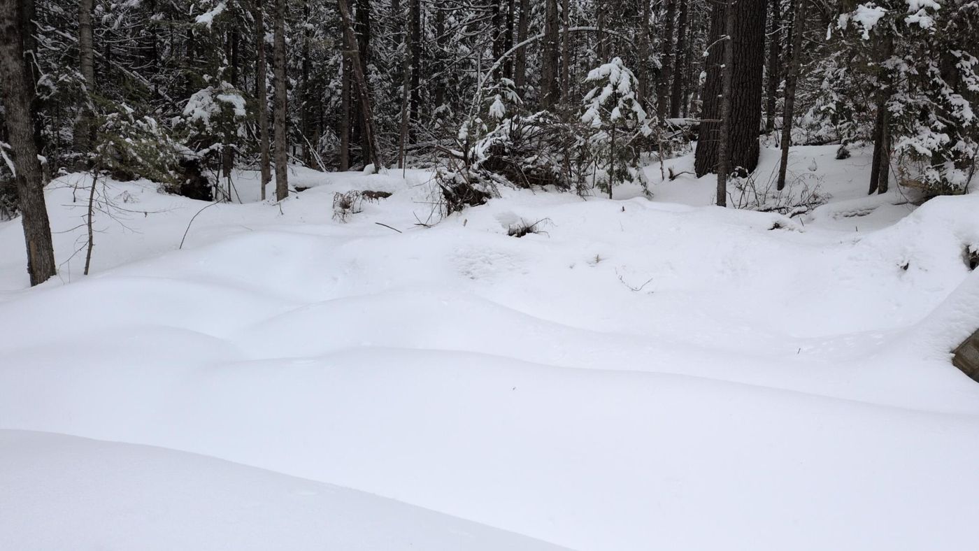 snowy hillside above the forest trail at Bartertowne, Canaan New Hampshire